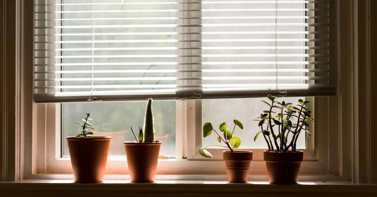 เรื่องควรรู้ ก่อนติดมู่ลี่เอง